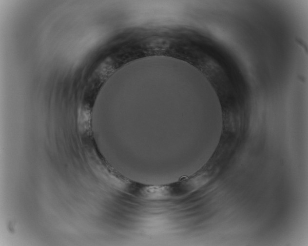 X0000103470526200809261907