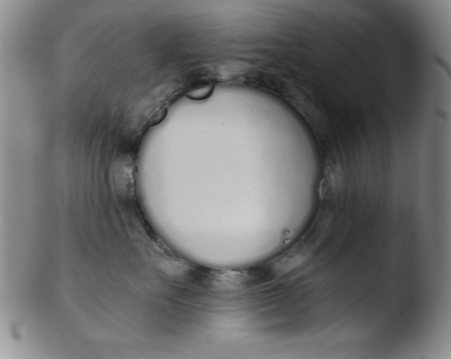 X0000103470527200809261907