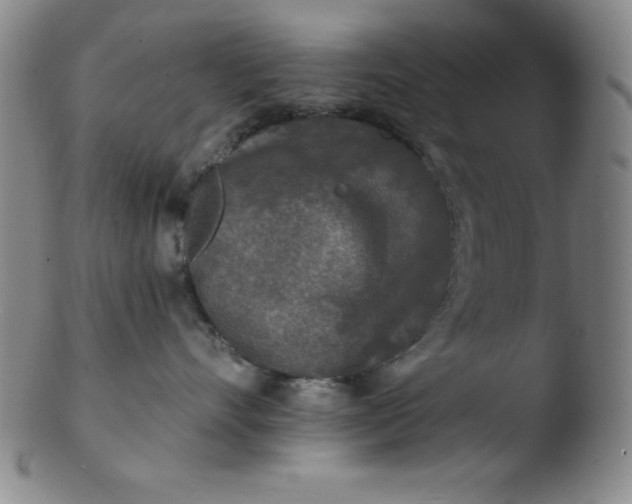 X0000103470528200809261907