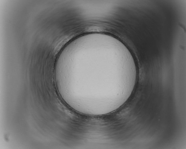 X0000103470529200809261906