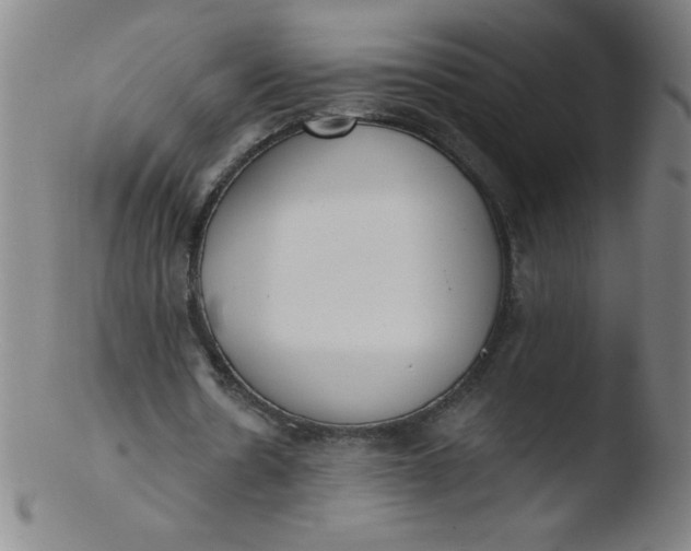 X0000103470530200809261906