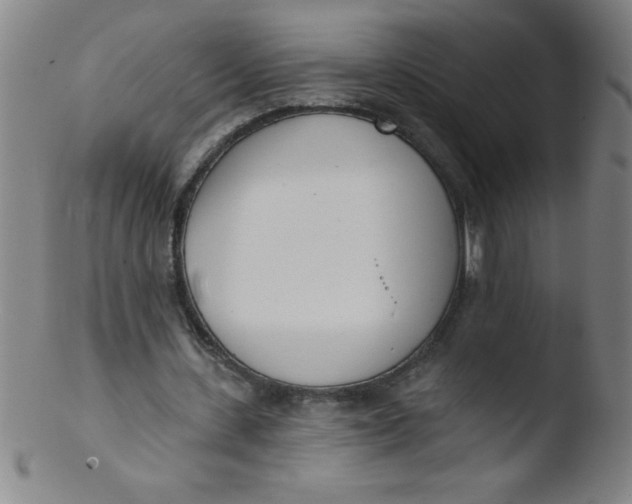 X0000103470531200809261906