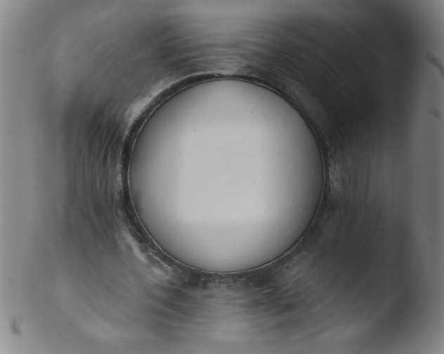 X0000103470532200809261906