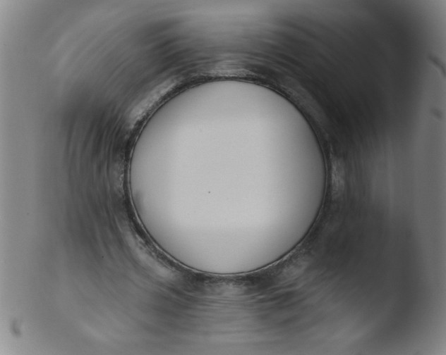 X0000103470533200809261906