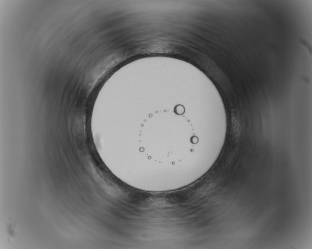 X0000103470534200809261906