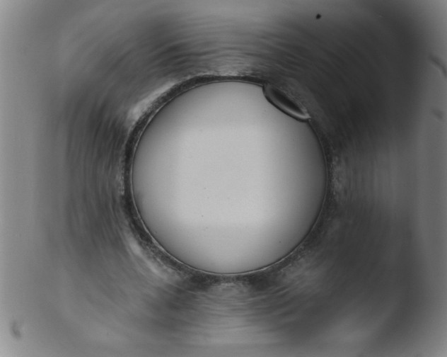 X0000103470536200809261906