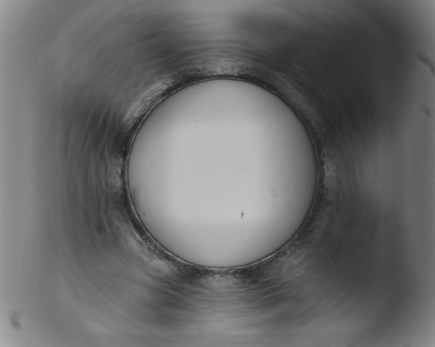 X0000103470537200809261906