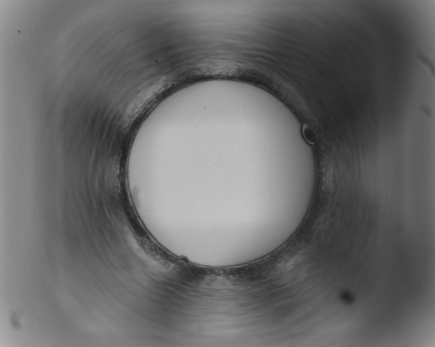 X0000103470538200809261906