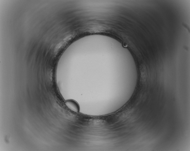 X0000103470539200809261906