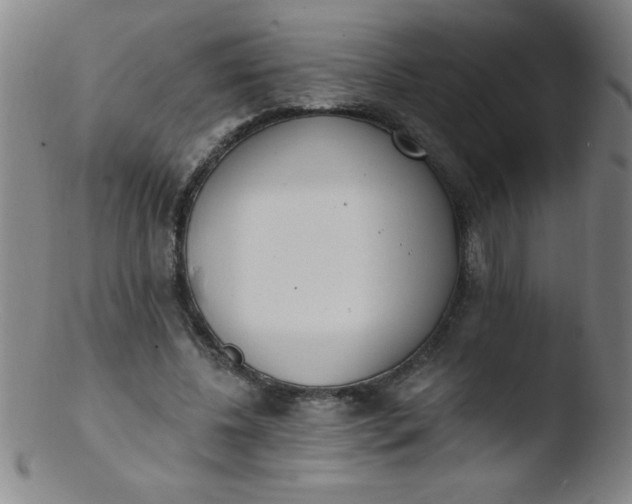 X0000103470540200809261906