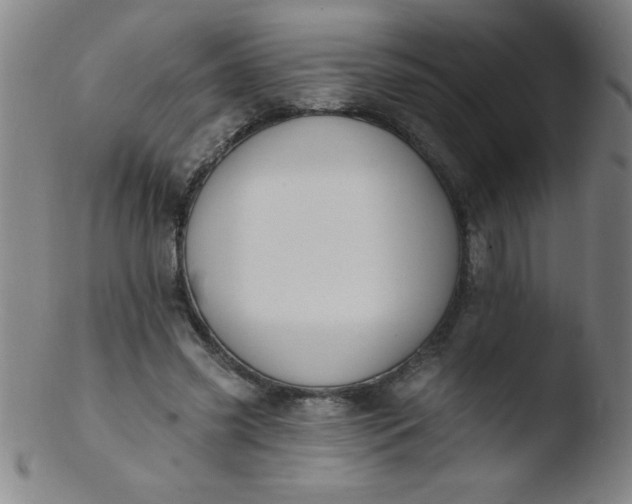 X0000103470541200809261906