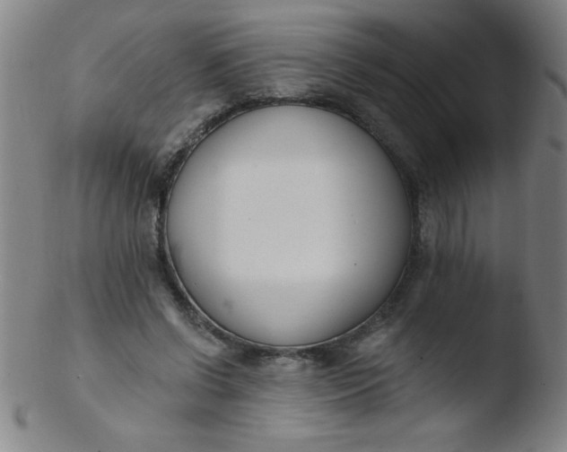 X0000103470542200809261907