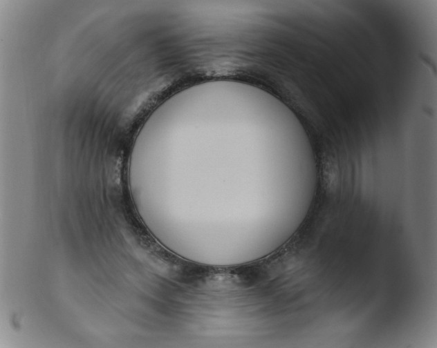 X0000103470543200809261907