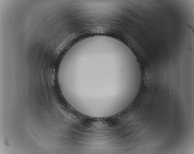 X0000103470544200809261907