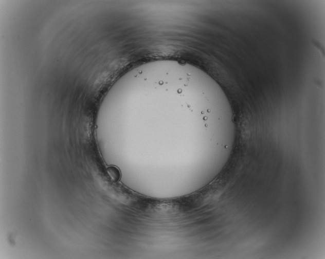 X0000103470546200809261907