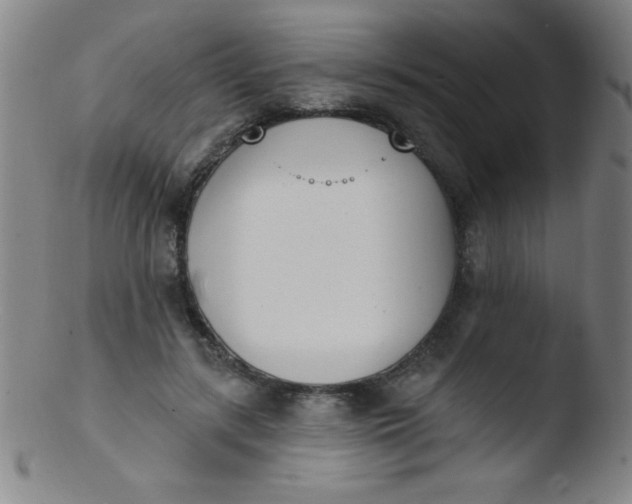 X0000103470547200809261907