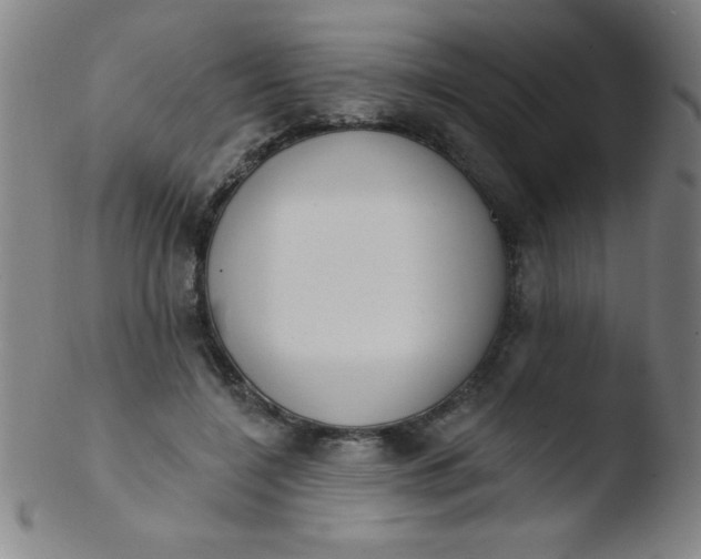 X0000103470548200809261907