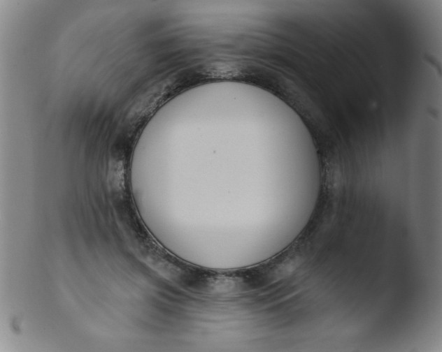 X0000103470549200809261907