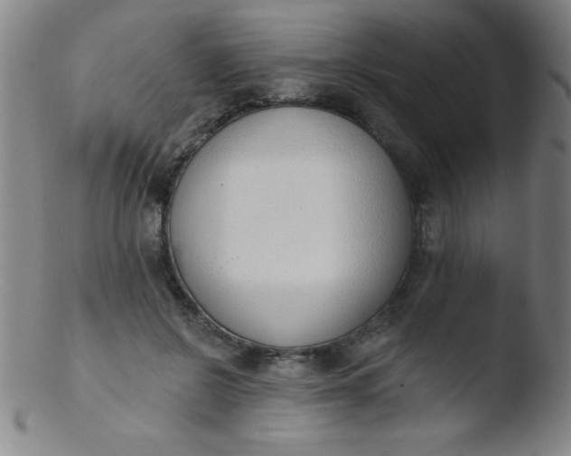 X0000103470550200809261907