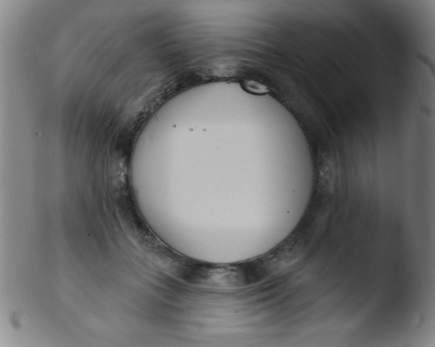 X0000103470555200809261907