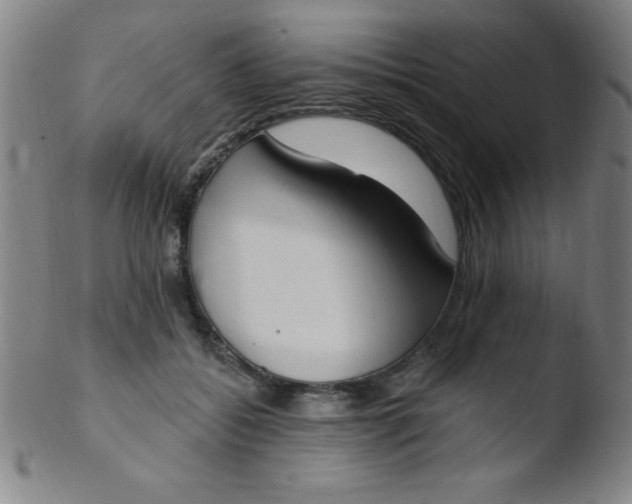 X0000103470556200809261907