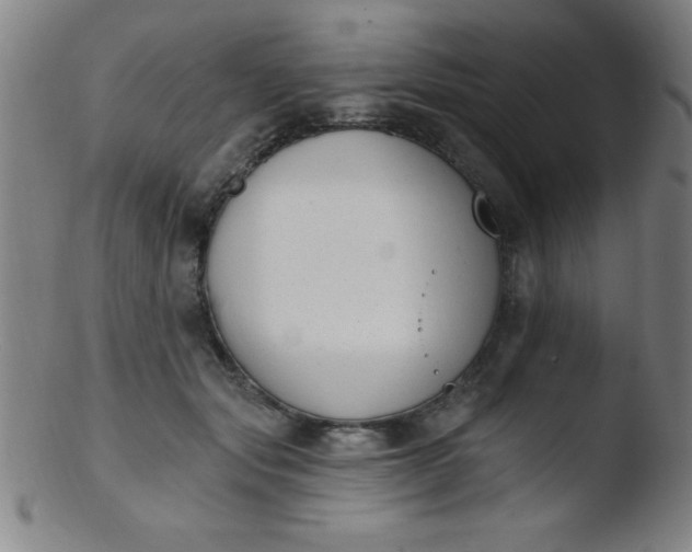 X0000103470557200809261907