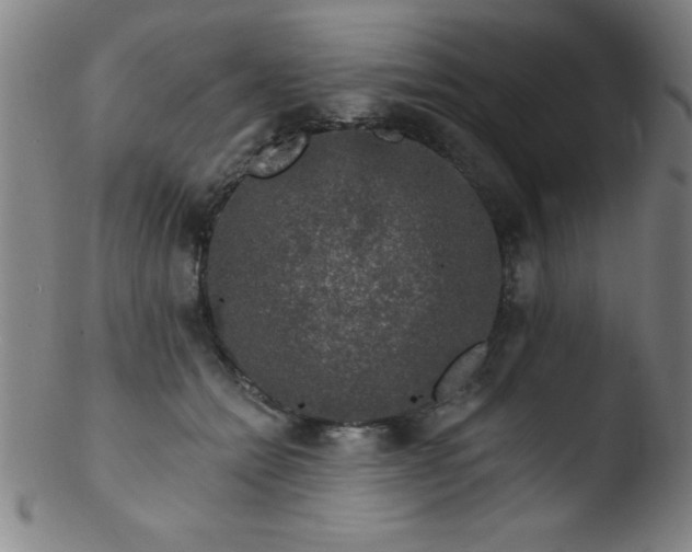 X0000103470558200809261907