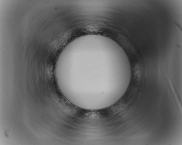 X0000103470559200809261907