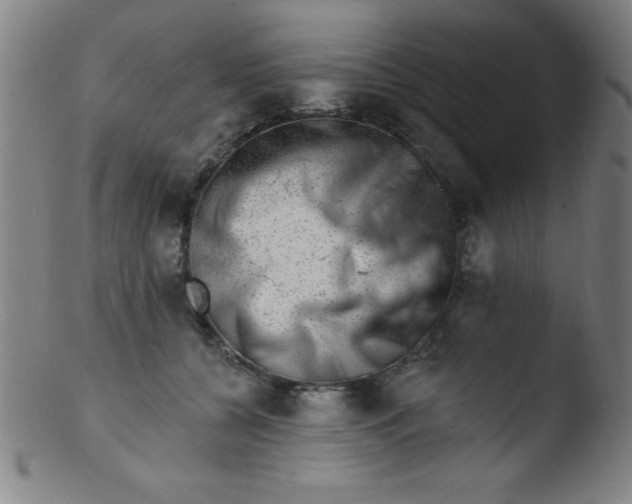 X0000103470560200809261907