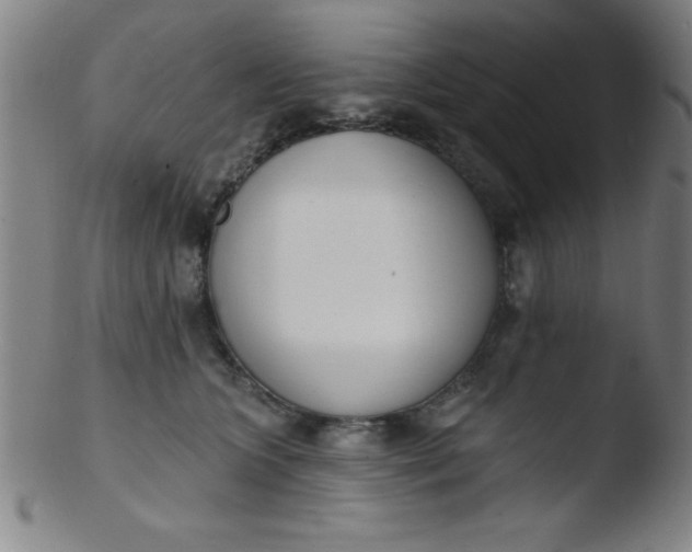 X0000103470563200809261907