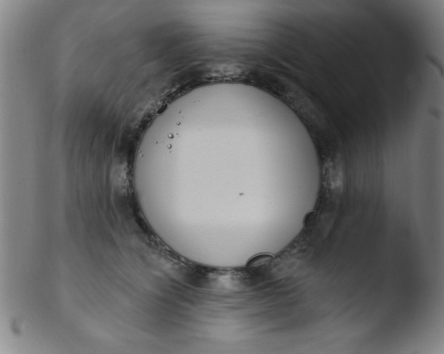 X0000103470564200809261907