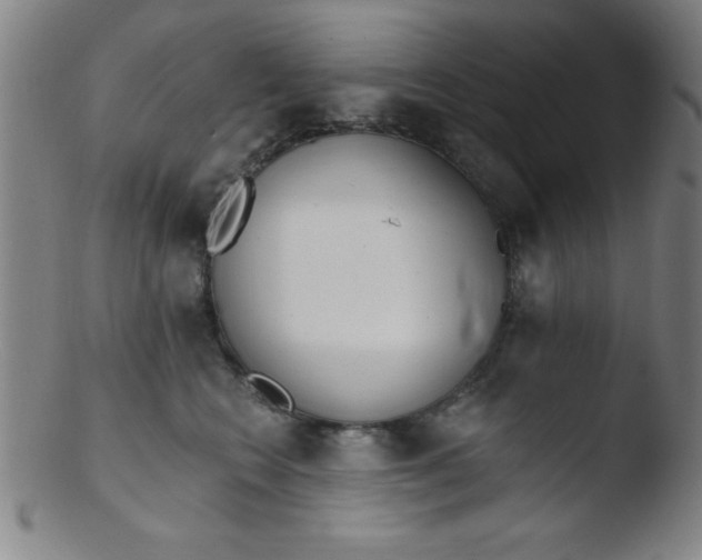 X0000103470566200809261907