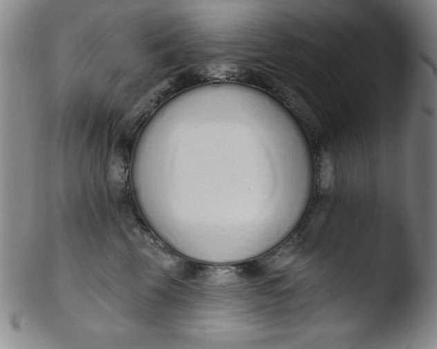 X0000103470569200809261907