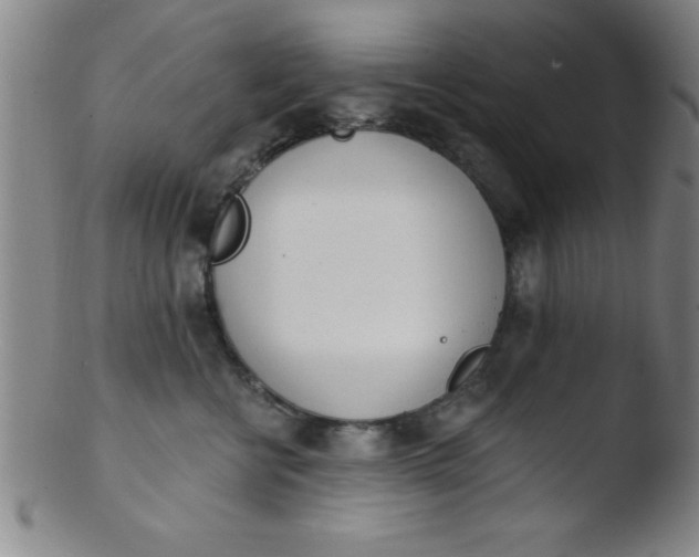 X0000103470570200809261907