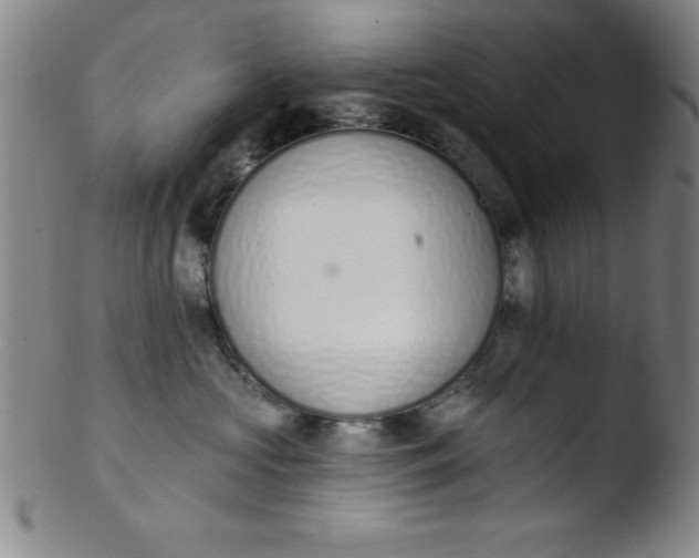 X0000103470573200809261907