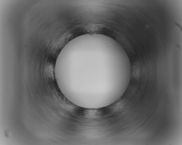 X0000103470575200809261907