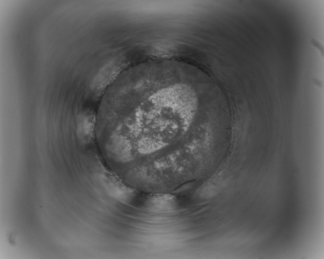 X0000103470576200809261907