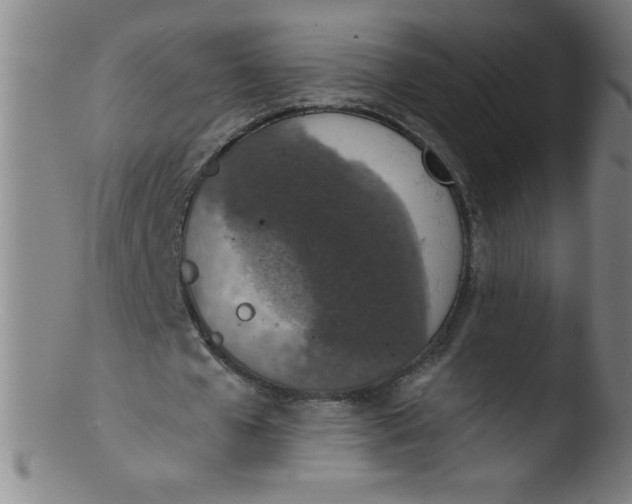 X0000103470577200809261906