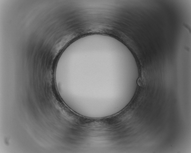 X0000103470578200809261906