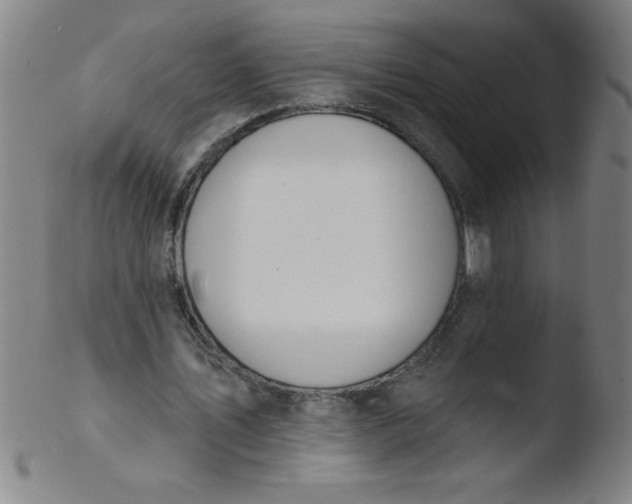 X0000103470579200809261906