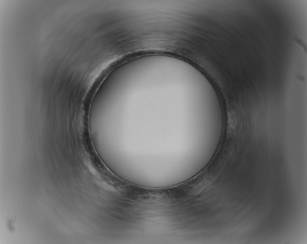 X0000103470580200809261906