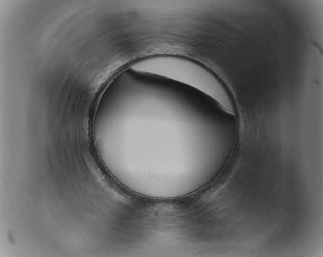 X0000103470581200809261906