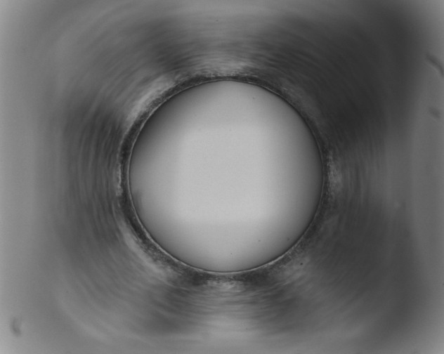 X0000103470582200809261906