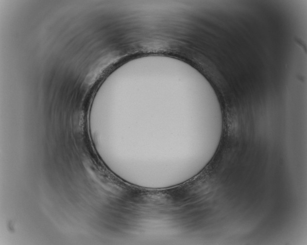 X0000103470583200809261906