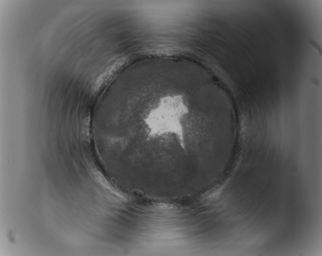 X0000103470585200809261906