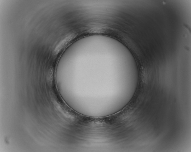 X0000103470586200809261906