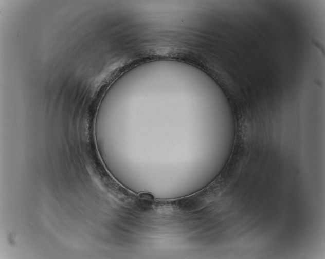 X0000103470587200809261906