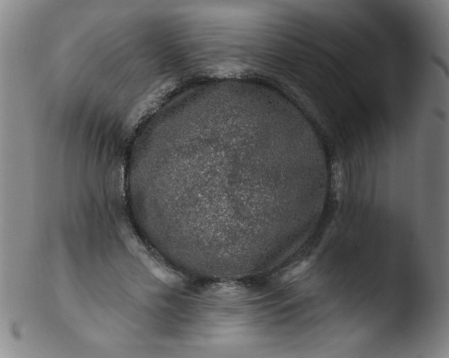 X0000103470589200809261906