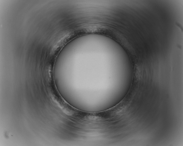 X0000103470590200809261906