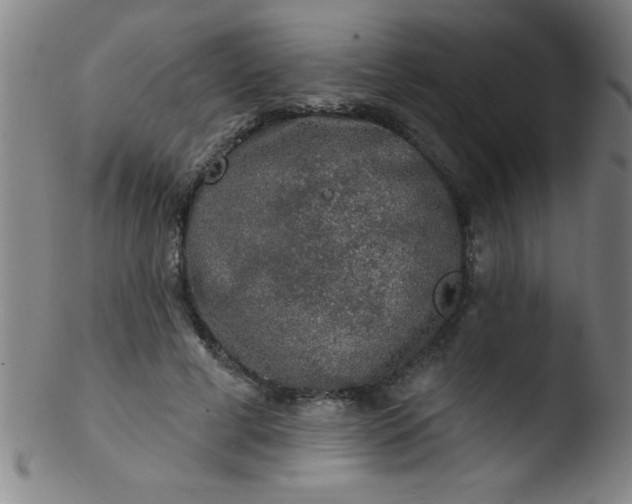 X0000103470593200809261906